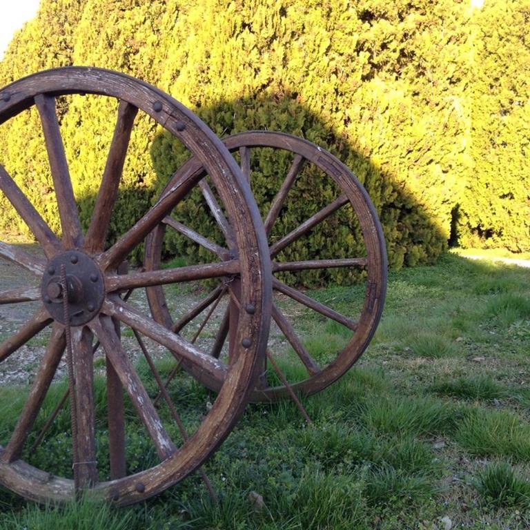 Albero Del Latte Alojamento de Turismo Rural Bagnolo San Vito